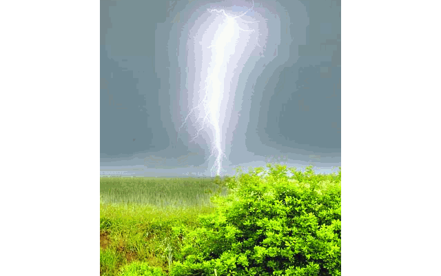 groza_fjodorova